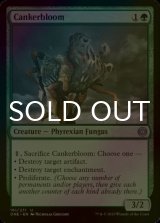 [FOIL] Cankerbloom 【ENG】 [ONE-Green-U]