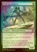 [FOIL] Evolving Adaptive 【ENG】 [ONE-Green-U]