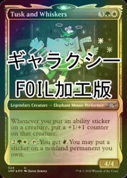 Photo1: [FOIL] Tusk and Whiskers (Showcase、Galaxy Foil) 【ENG】 [UNF-Multi-U]