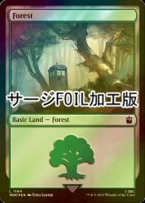 [FOIL] Forest No.1164 (Surge Foil) 【ENG】 [WHO-Land-C]