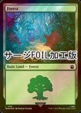 [FOIL] Forest No.1165 (Surge Foil) 【ENG】 [WHO-Land-C]