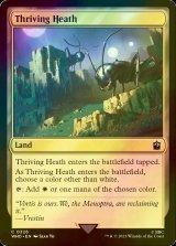 [FOIL] Thriving Heath No.326 【ENG】 [WHO-Land-C]