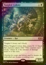 [FOIL] Tangled Colony 【ENG】 [WOE-Black-R]