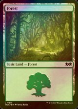 [FOIL] Forest No.275 【ENG】 [WOE-Land-C]