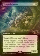 [FOIL] Tangled Colony (Extended Art) 【ENG】 [WOE-Black-R]