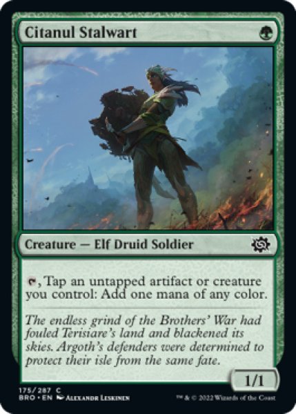 Photo1: Citanul Stalwart 【ENG】 [BRO-Green-C] (1)