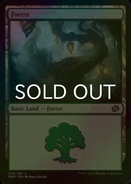 Photo1: [FOIL] Forest No.276 【ENG】 [BRO-Land-C] (1)