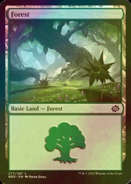 Photo1: [FOIL] Forest No.277 【ENG】 [BRO-Land-C] (1)
