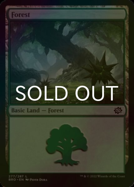 Photo1: [FOIL] Forest No.277 【ENG】 [BRO-Land-C] (1)