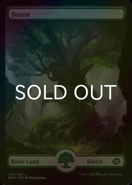 Photo1: [FOIL] Forest No.287 (Full-Art) 【ENG】 [BRO-Land-C] (1)