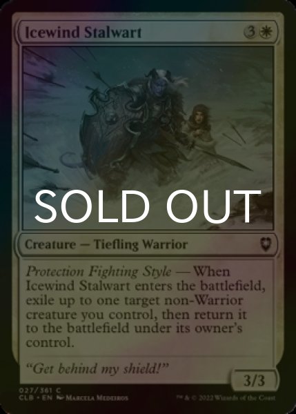Photo1: [FOIL] Icewind Stalwart 【ENG】 [CLB-White-C] (1)