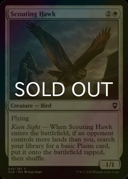 Photo1: [FOIL] Scouting Hawk 【ENG】 [CLB-White-C] (1)