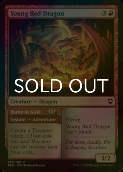 Photo1: [FOIL] Young Red Dragon 【ENG】 [CLB-Red-C] (1)