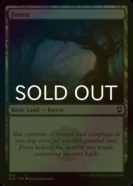 Photo1: [FOIL] Forest No.469 【ENG】 [CLB-Land-C] (1)