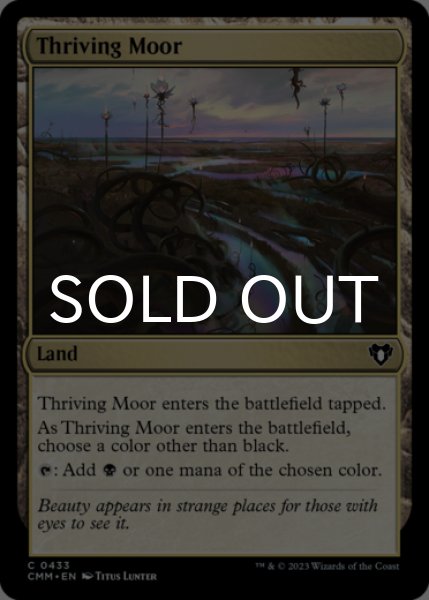 Photo1: Thriving Moor 【ENG】 [CMM-Land-C] (1)