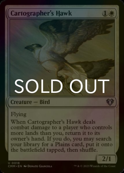Photo1: [FOIL] Cartographer's Hawk 【ENG】 [CMM-White-U] (1)
