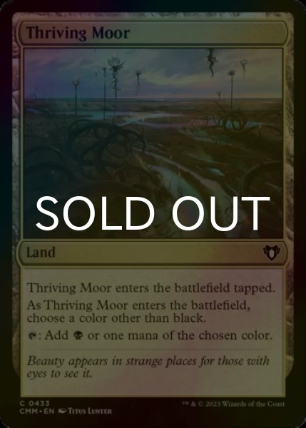 Photo1: [FOIL] Thriving Moor 【ENG】 [CMM-Land-C] (1)