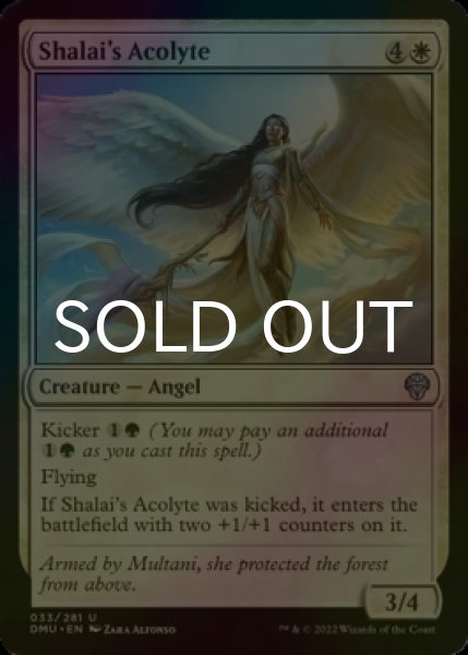 Photo1: [FOIL] Shalai's Acolyte 【ENG】 [DMU-White-U] (1)
