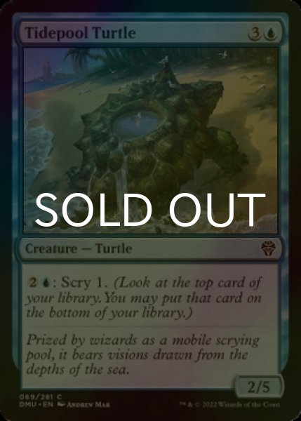 Photo1: [FOIL] Tidepool Turtle 【ENG】 [DMU-Blue-C] (1)
