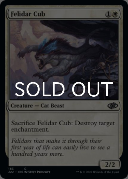 Photo1: Felidar Cub 【ENG】 [J22-White-C] (1)