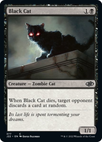 Photo1: Black Cat 【ENG】 [J22-Black-C] (1)
