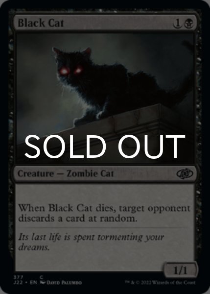 Photo1: Black Cat 【ENG】 [J22-Black-C] (1)