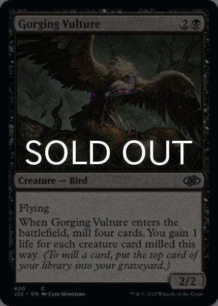 Photo1: Gorging Vulture 【ENG】 [J22-Black-C] (1)