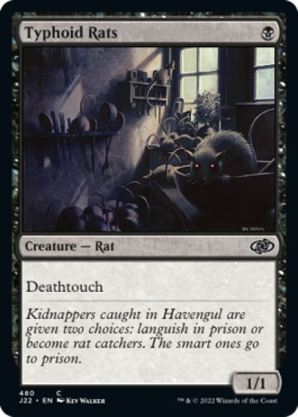 Photo1: Typhoid Rats 【ENG】 [J22-Black-C] (1)