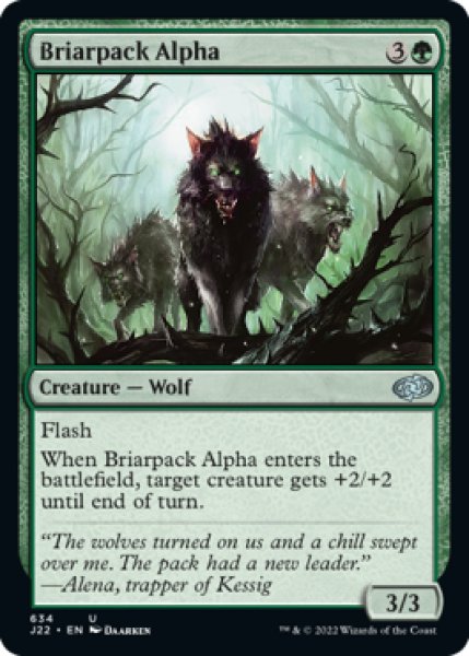 Photo1: Briarpack Alpha 【ENG】 [J22-Green-U] (1)