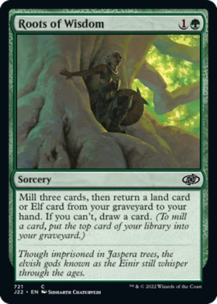 Photo1: Roots of Wisdom 【ENG】 [J22-Green-C] (1)