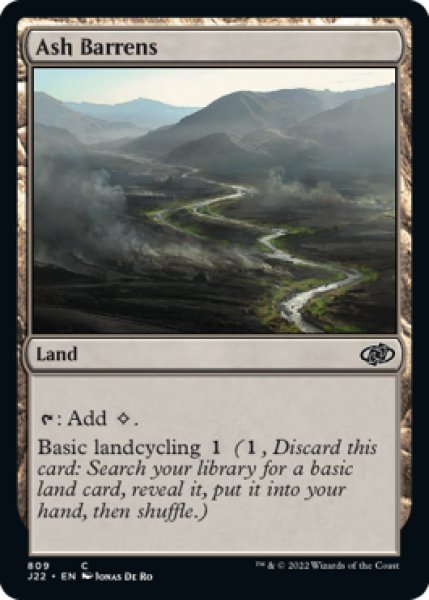 Photo1: Ash Barrens 【ENG】 [J22-Land-C] (1)