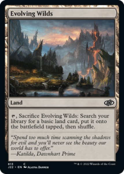 Photo1: Evolving Wilds 【ENG】 [J22-Land-C] (1)