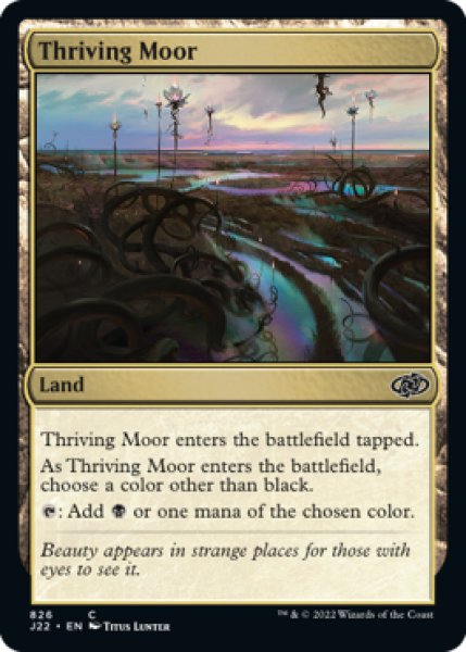 Photo1: Thriving Moor 【ENG】 [J22-Land-C] (1)
