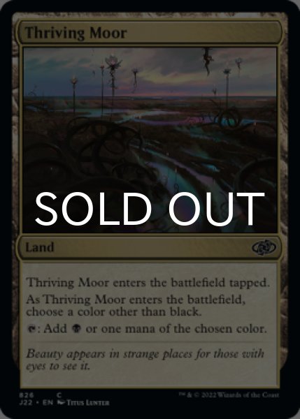 Photo1: Thriving Moor 【ENG】 [J22-Land-C] (1)