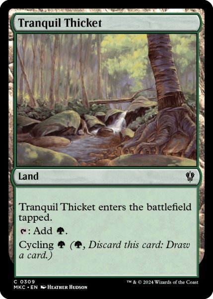 Photo1: Tranquil Thicket 【ENG】 [MKC-Land-C] (1)