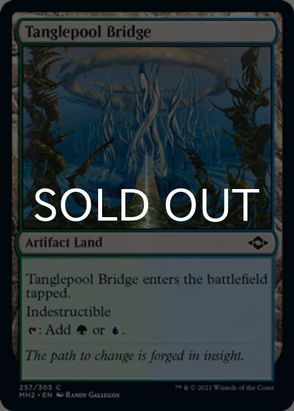 Photo1: 40x Tanglepool Bridge 【ENG】 [MH2-Land-C] (1)